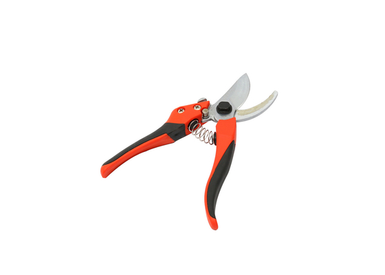 Frutta di potatura elettrica Tress Farm Scissors del giardino del taglio del manuale di acciaio inossidabile PTFE